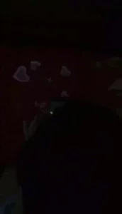 [原创]娇妻做爱有对白